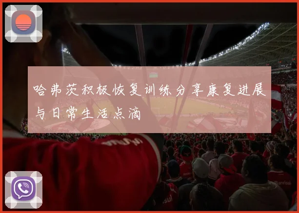 哈弗茨积极恢复训练分享康复进展与日常生活点滴