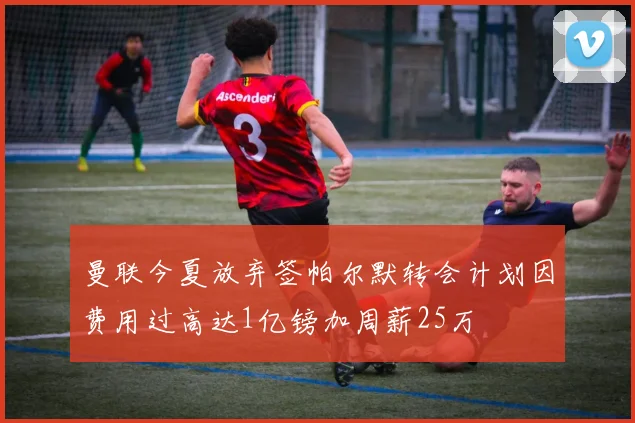 曼联今夏放弃签帕尔默转会计划因费用过高达1亿镑加周薪25万