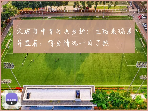 文班与申京对决分析：主防表现差异显著，得分情况一目了然