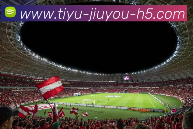 多媒体互动体验